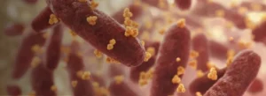 biofilm