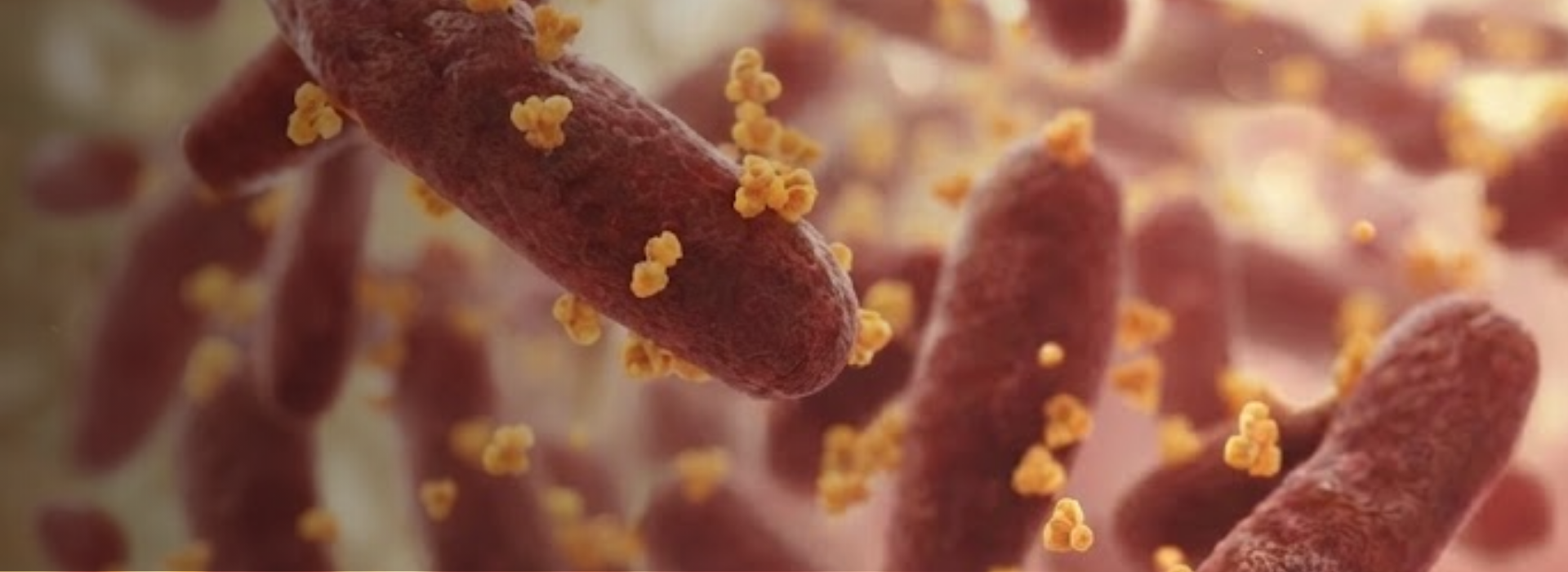 biofilm
